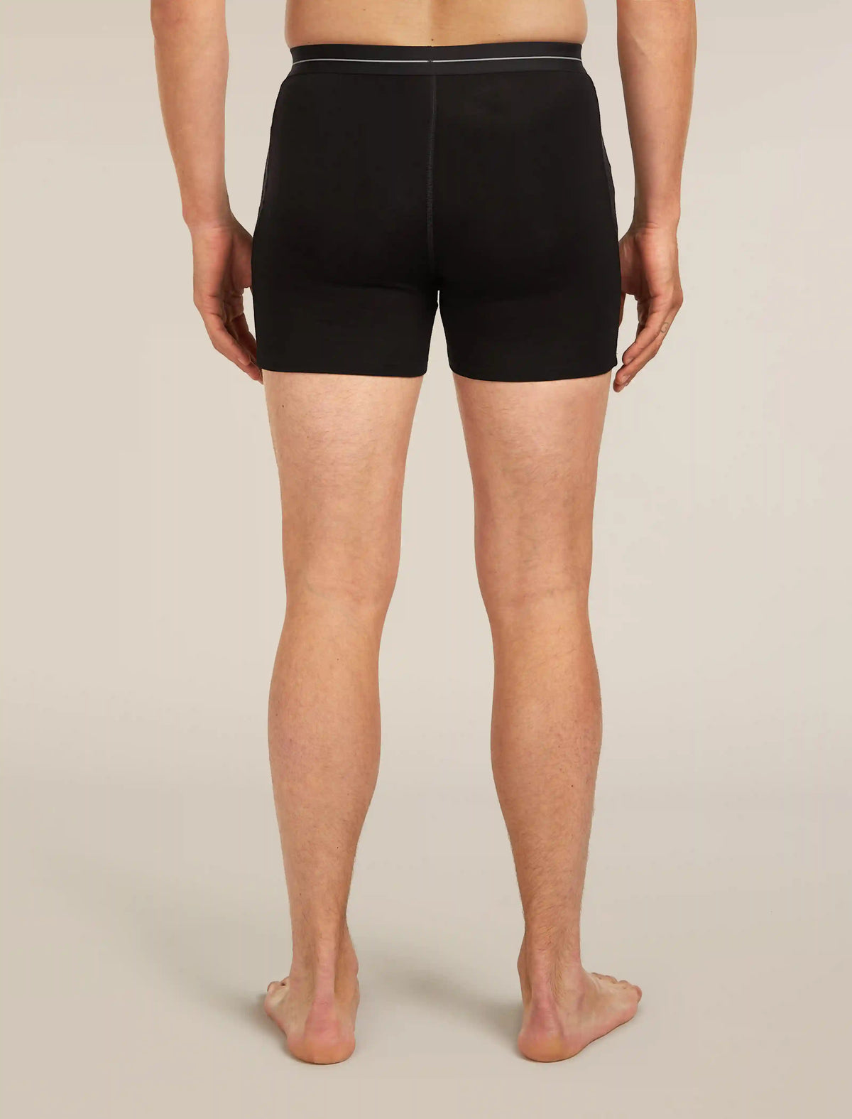 Men's Merino 150 Anatomica Boxers