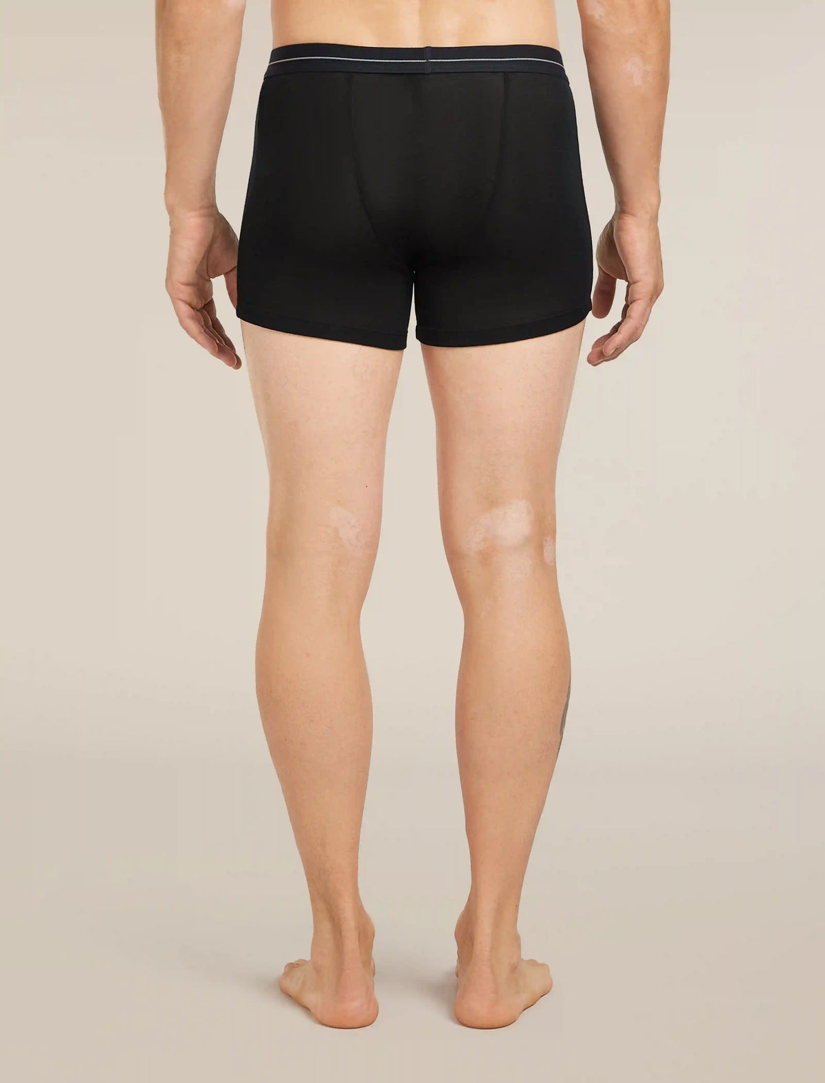 Men's Men's Merino 175 Everyday Thermal Boxers wFly