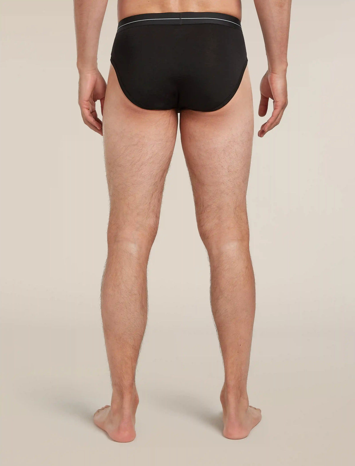 Men's Merino 150 Anatomica Briefs
