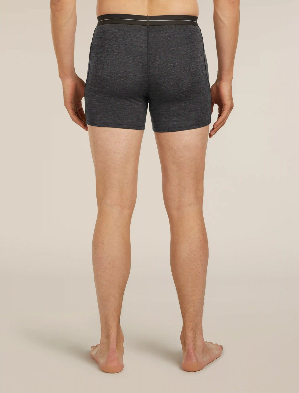 Men's Merino 150 Anatomica Boxers